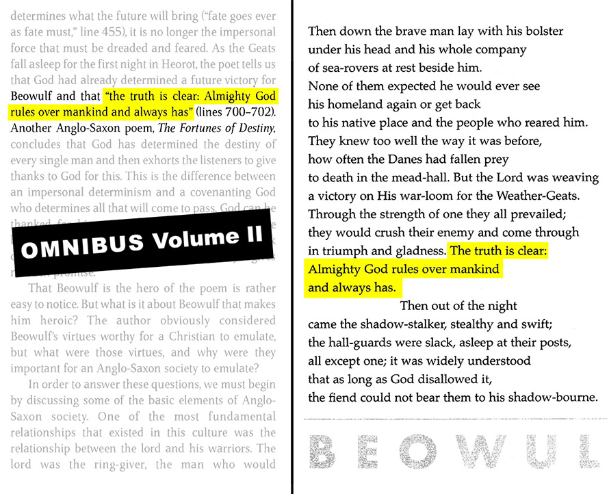 Plagiarism in Omnibus Volume II, page 127