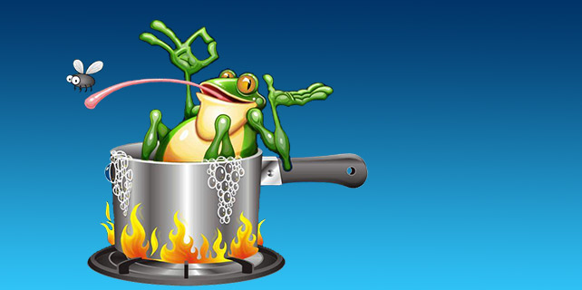 frog in the pot