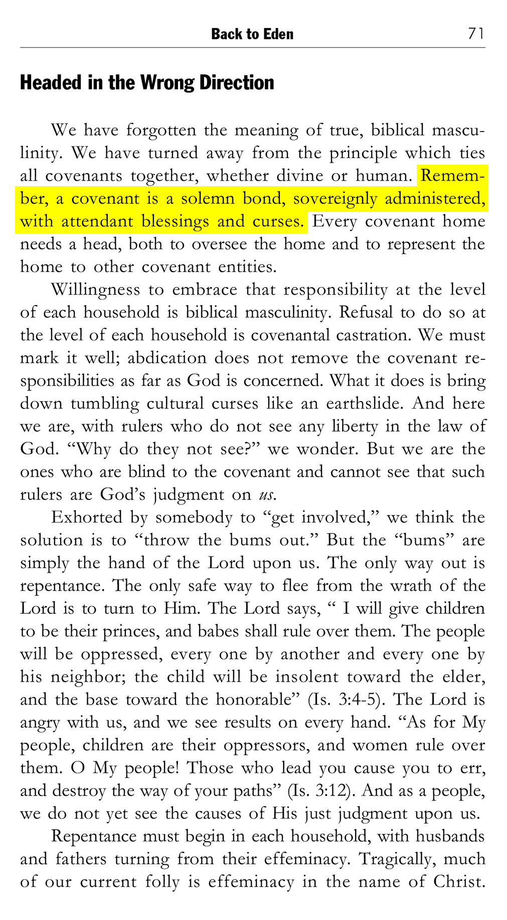 Beyond Promises: A Biblical Challenge to Promise Keepers, page 71